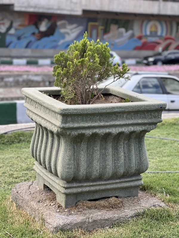 گلدان بتنی مدل هماتوس بزرگ